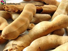 Tamarind