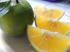 Orange