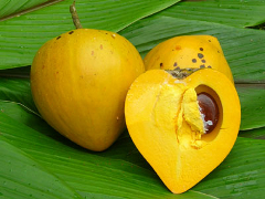 Egg-fruit